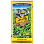 Forestina Hoštický Pro výsev a množení 70 l – Zboží Dáma