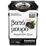 Kandylas ostružinový džem extra 230 g – Hledejceny.cz