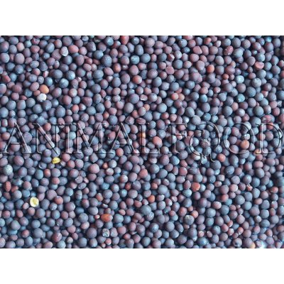 Beyers Vikev setá 25 kg – Zboží Dáma