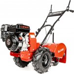 Cedrus GLX480 Loncin – Hledejceny.cz