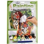 Malování podle čísel Tygří rodinka – Hledejceny.cz