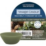 Yankee Candle vonný vosk Silver Sage & Pine Stříbrná šalvěj a borovice 22 g – Zboží Dáma