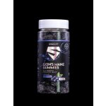 SWAGLIFT Lion´s mane gummies s příchutí borůvky 60 ks – Hledejceny.cz