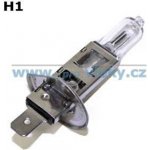 Autolamp H1 P14,5s 12V 55W – Hledejceny.cz