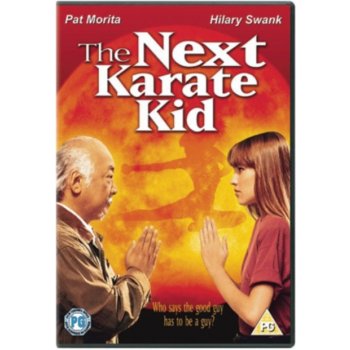 Next Karate Kid DVD