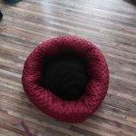 Pelíšek – Zbozi.Blesk.cz