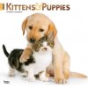 Kalendář Kittens & Puppies 12 X 24 Inch Monthly Square Wall Foil Stamped Cover Plastic-Free 2025