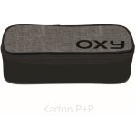 Karton P+P Pouzdro Etue Komfort Oxy Style Grey 7-81818 – Hledejceny.cz