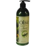 Adonis Olive Shampoo na barvené vlasy a po trvalé 500 ml – Hledejceny.cz