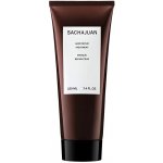 Sachajuan Hair Repair 250 ml – Hledejceny.cz
