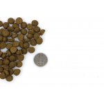 Marp Holistic Indoor Cat pro dospělé a starší kočky 0,5 kg – Hledejceny.cz