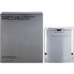 Porsche Design Palladium Men deostick 75 ml – Zboží Mobilmania