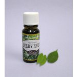 Saloos esenciální olej Černý rybíz 10 ml – Zboží Dáma