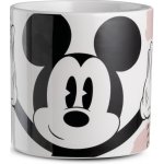 EGAN DISNEY ENJOY Sada 2 květináčů MICKEY MOUSE šedá 12 × 12 cm – Hledejceny.cz