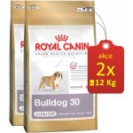 Royal Canin Buldok Junior 2 x 12 kg – Hledejceny.cz