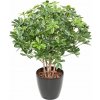 Květina SCHEFFLERA BUSH PLAST UV, 90cm