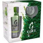 G’Vine Gin de France Floraison 40% 0,7 l (dárkové balení 1 sklenice) – Hledejceny.cz