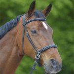 Star Uzdečka bezudidlová černá – Sleviste.cz