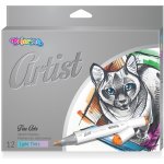 Skicovací fixy Colorino Artist -oboustranné 12 barev R81100 – Zboží Živě
