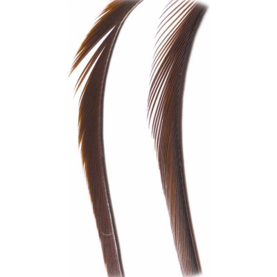 Veniard Husí Biots Goose Biot Strips Dark Brown – Hledejceny.cz