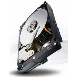 Seagate Constellation ES.3 1TB, ST1000NM0033