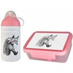RaB svačinový set lahev + box 0,5 l Vesna – Hledejceny.cz