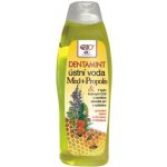 BC Bione Cosmetics Dentamint Med a Propolis 500 ml – Zboží Mobilmania