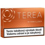 TEREA AMBER krabička – Zbozi.Blesk.cz