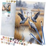 Massido 699008 Obraz pro malování podle čísel Jeřábi 40 x 50 cm – Hledejceny.cz