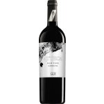 Juan Gil Bodegas Ateca Atteca Garnacha Old Vines suché červené 2021 15% 0,75 l (holá láhev) – Hledejceny.cz