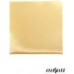 Avantgard Kapesníček žlutá 582 9029 – Zbozi.Blesk.cz