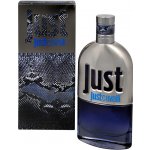 Roberto Cavalli Just Cavalli toaletní voda pánská 50 ml – Hledejceny.cz