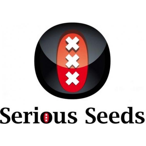 Semena konopí Serious seeds Strawberry AKeil semena neobsahují THC 3 ks