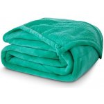 Carbotex deka mikroplyš mentolová 150x200 – Hledejceny.cz