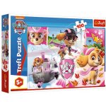 Trefl Paw Patrol Tlapková patrola Skye v akci 16368 100 dílků – Zbozi.Blesk.cz