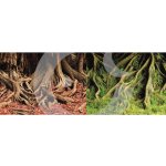 Macenauer fototapeta 1S 60 x 30 cm – Zboží Dáma