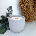 BETON home LESNÍ ROMANCE / Himalájský cedr x Jasmín 220 g – Zboží Mobilmania
