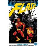 Komiks Flash 2: Rychlost temnoty (brožovaná)