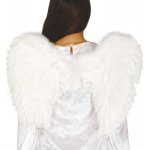 Křídla péřová 55x40c – Zboží Dáma