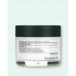 Pyunkang Yul Calming Moisture Barrier Cream 50 ml – Zboží Dáma