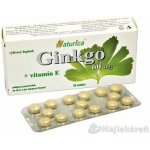 Naturica Ginkgo 60 mg + vit.E 30 tablet – Hledejceny.cz