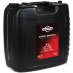 Briggs & Stratton SAE 30 25 l – Sleviste.cz