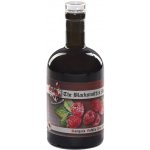 Sanguis Nobilis Plus Ultra Vznešená krev malinová medovina The Blacksmith's Meadery 0,50 l – Sleviste.cz