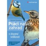 Ptáci našich zahrad – Hledejceny.cz