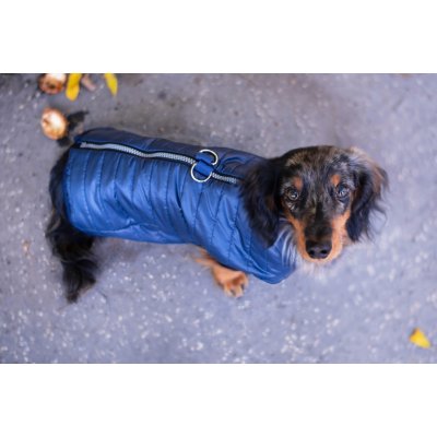Vsepropejska Targa podzimní bunda pro psa