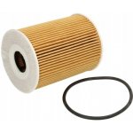 Bosch olejový filtr F 026 407 255 | Zboží Auto