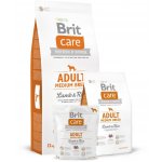 Recenze Brit Care Adult Medium Breed Lamb & Rice 12 kg