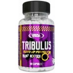Real Pharm Tribulus Terrestris 60 kapslí – Hledejceny.cz