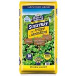 Forestina Hoštický Pro výsev a množení 70 l – Zboží Dáma