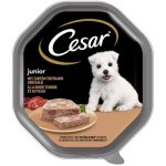 Cesar Junior Krůtí a telecí 150 g – Zboží Mobilmania